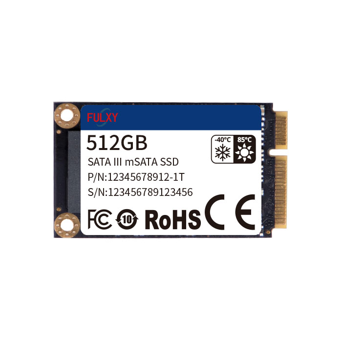 mSATA SSD