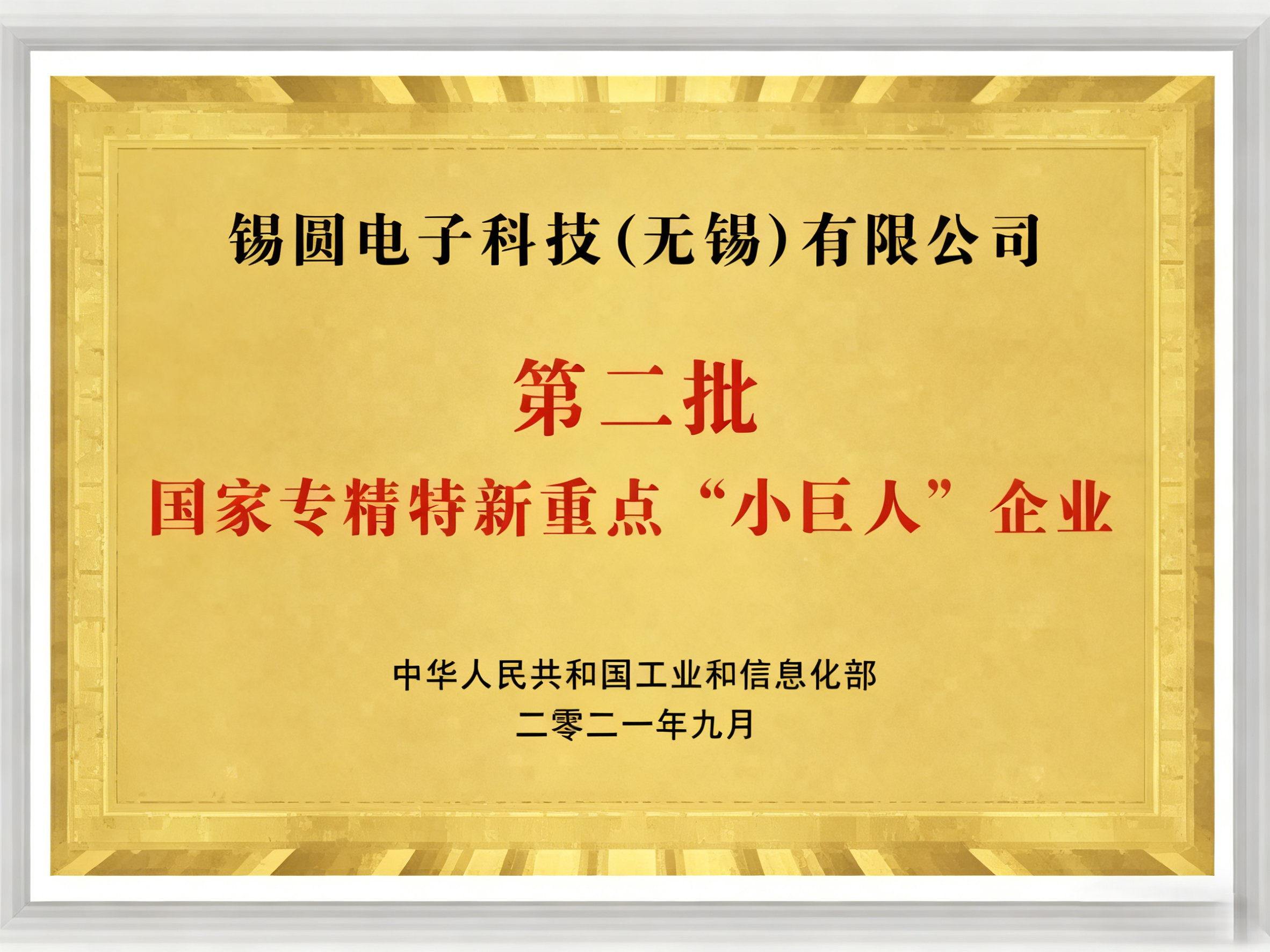 国家“专精特精”重点小巨人企业